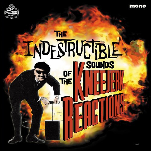 The Indestructible Sounds of... [Vinyl LP]