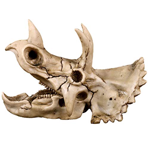 Triceratops Dinosaurier Schädel Harz Kunsthandwerk Für Skelett Lehrmodell. Hallo Hilfe Lehrhund Hundehilfe Lehre Lendenwirbel Steißbein Modell Anatomie Anzeige Studie Veterinär Lehrforschung