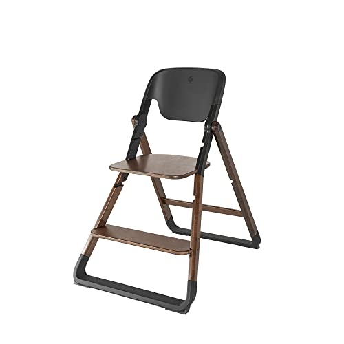 Ergobaby Evolve Toddler Chair Hochstuhlbasis Ergonomischer Stuhl für Kleinkinder Mitwachsend ab ca. 36 Monate, Höhenverstellbarer Kinderstuhl Treppenstuhl in Holzausführung, Dark Wood