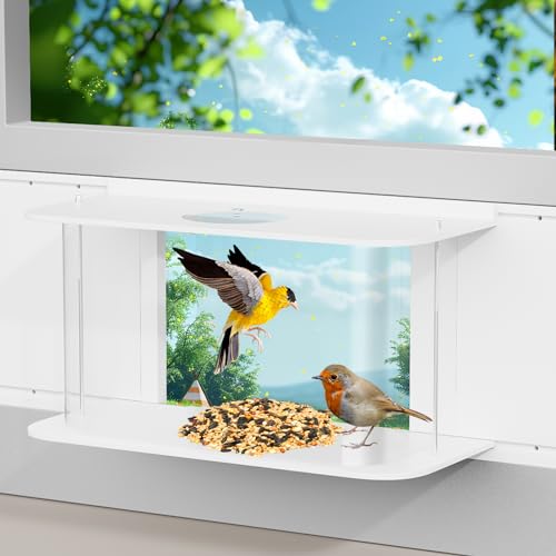 ZXLOYOS Vogelfutterstation für Fenster, halbtransparent