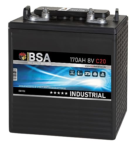 BSA Batterie 8V 170Ah Traktionsbatterie Antrieb Gabelstapler Stapler Hubwagen Hebebühne Elektroauto Batterie