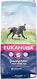 Eukanuba Welpenhundefutter für große Hunde, reich an frischem Hühn, 12 kg