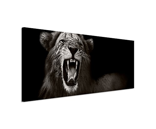 Unique Wunderschönes Wandbild 150x50cm Tierbilder – Brüllender afrikanischer Löwe schwarz weiß