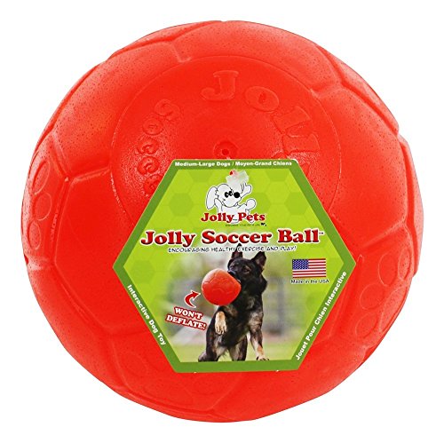 Jolly Pets - Jolly Soccer Ball 8 Inch Assorted Colors