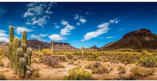 AWERT Reptilien-Habitat-Hintergrund, 121,9 x 50,8 cm, blauer Himmel, Oase, Kaktus, Wüste, Terrarium, Hintergrund aus Vinyl