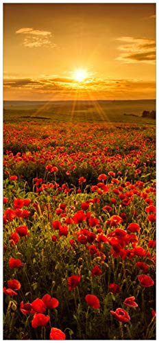 Wallario Selbstklebende Türtapete Mohnblumenwiese bei Sonnenuntergang am Abend - 93 x 205 cm in Premium-Qualität: Abwischbar, Brillante Farben, rückstandsfrei zu entfernen