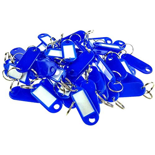 Wisplast 200 Stück Schlüsselschilder Schlüsselanhänger zum Beschriften in Blau