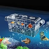 Aquarium Fischzuchtbox Acryl schwimmende Fische Isolierung Multifunktionale Brutkasten Brutkasten Box Transparent Fisch Braten Tank Brutwaren