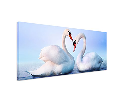 Wunderschönes Wandbild 150x50cm Tierbilder – Verliebtes weißes Schwanenpaar