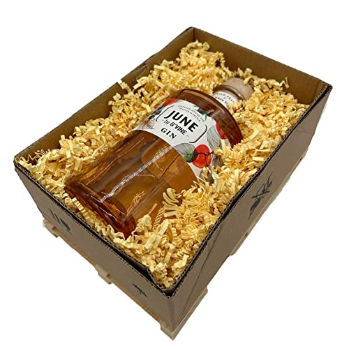 Bull & Bear Geschenk Box Mini-Palette Geschenkset G'Vine | June Pfirsich Gin | 700ml | 37.5% Vol | Fruchtige Noten des Pfirsichs | Frischer Geschmack von Sommerfrüchten
