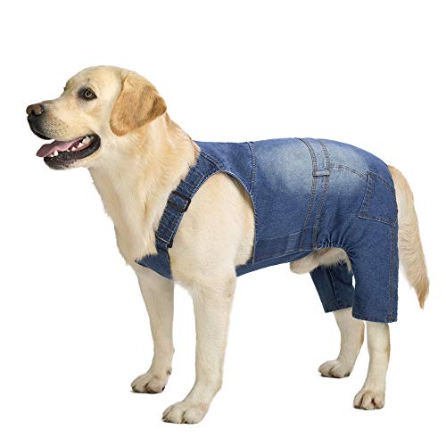Miaododo Mittelgroße Hunde-Jeans-Overall für Hunde, Hunde-Denim-Kleidung, Kostüme für Allzwecke, blaue Vintage-gewaschene Hundehose, klassische Jacke (36, blau)
