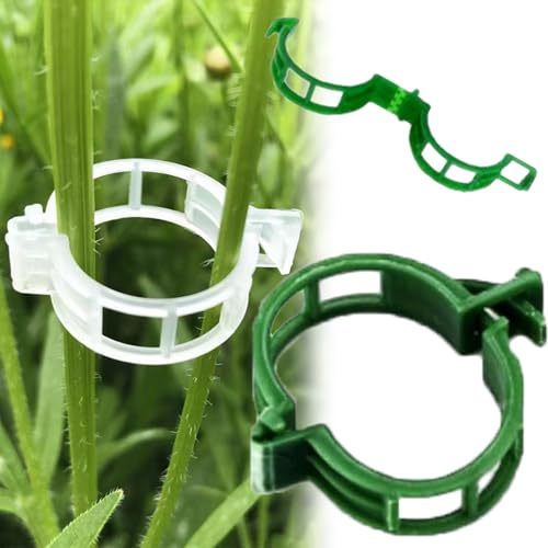 Secured Plastic Plant Clip, Plant Support Clips Reusable Garden Clips, Tomato Clips, Plant Clips for Support, Plant Clips for Climbing Plants Clear, Plant Fixing Clips (Green-300PCS)