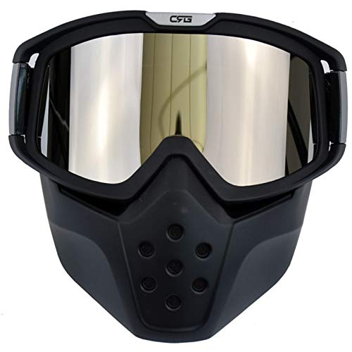 BINCIBH Motocross Brille,Motorradbrille Motorrad Gesichtsmaske Brille Retro Open Face Motocross Helm Gläser Abnehmbare Mundfilter Winddichte Maske Motorradbrillen (Color : CRG01 B Silver)