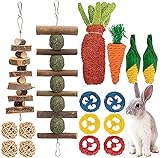 GIONAR 16 Stück Häschen Kauspielzeug für Zähne, Kaninchen, Hamster, Kauspielzeug für die Zahngesundheit, 100% natürliches Apfelholz, Grasball, Luffa