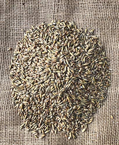 Getreide Landgetreide 25 kg aktuelle Ernte Gerste Hafer Weizen
