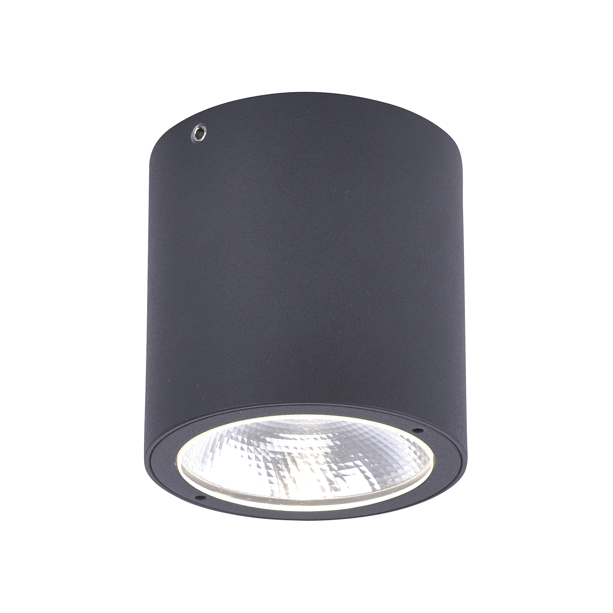 Paul Neuhaus LED Deckenlampe schwarz Aussenleuchte GEORG warmweiß IP54 1 flammig