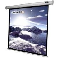 Celexon Economy Manual Screen - Leinwand - Deckenmontage möglich, geeignet für Wandmontage - 311 cm (122) - 1:1