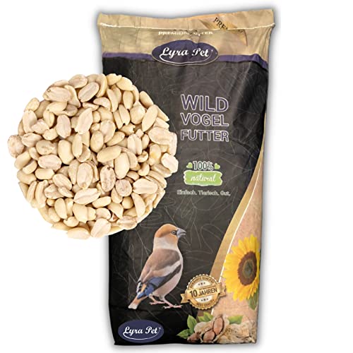 Lyra Pet® 10 kg Erdnusskerne Splits HK Asien Haut Ganzjahresfutter Körner Erdnussbruch Erdnüsse Vogelfutter Wildvogelfutter