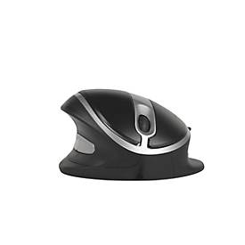 R-Go Oyster drahtlos Maus (1200dpi, 5-Tastenanzahl, USB 2.0) schwarz/Silber
