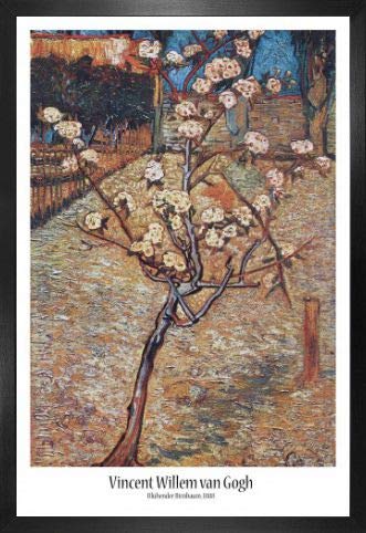 1art1 Vincent Van Gogh Poster und MDF-Rahmen - Blühender Birnbaum, 1888 (91 x 61cm)