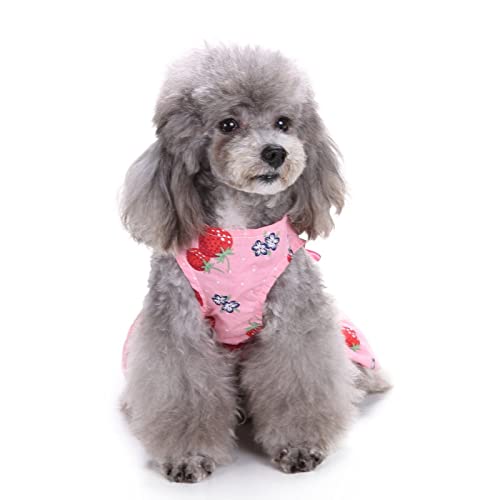 SUSOSU Haustier Kleidung Hunderock Wasserdruck Hundekleidung Rock Kleider für Kleine Mädchen Hunde Niedliche Haustierkleidung,Red 3,S