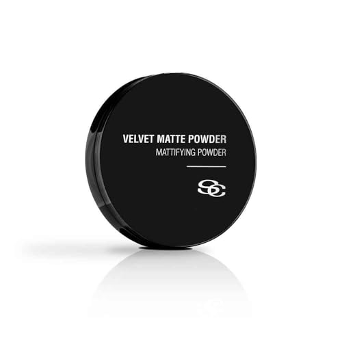 SALERM - Kompaktes mattierendes Puder - Velvet Matte Powder - 11 g - Durchscheinend - Fixiert Make-up ohne den Ton zu verändern - Kontrolliert den Glanz - Mattes Finish ohne Auslaufen - Ermöglicht das