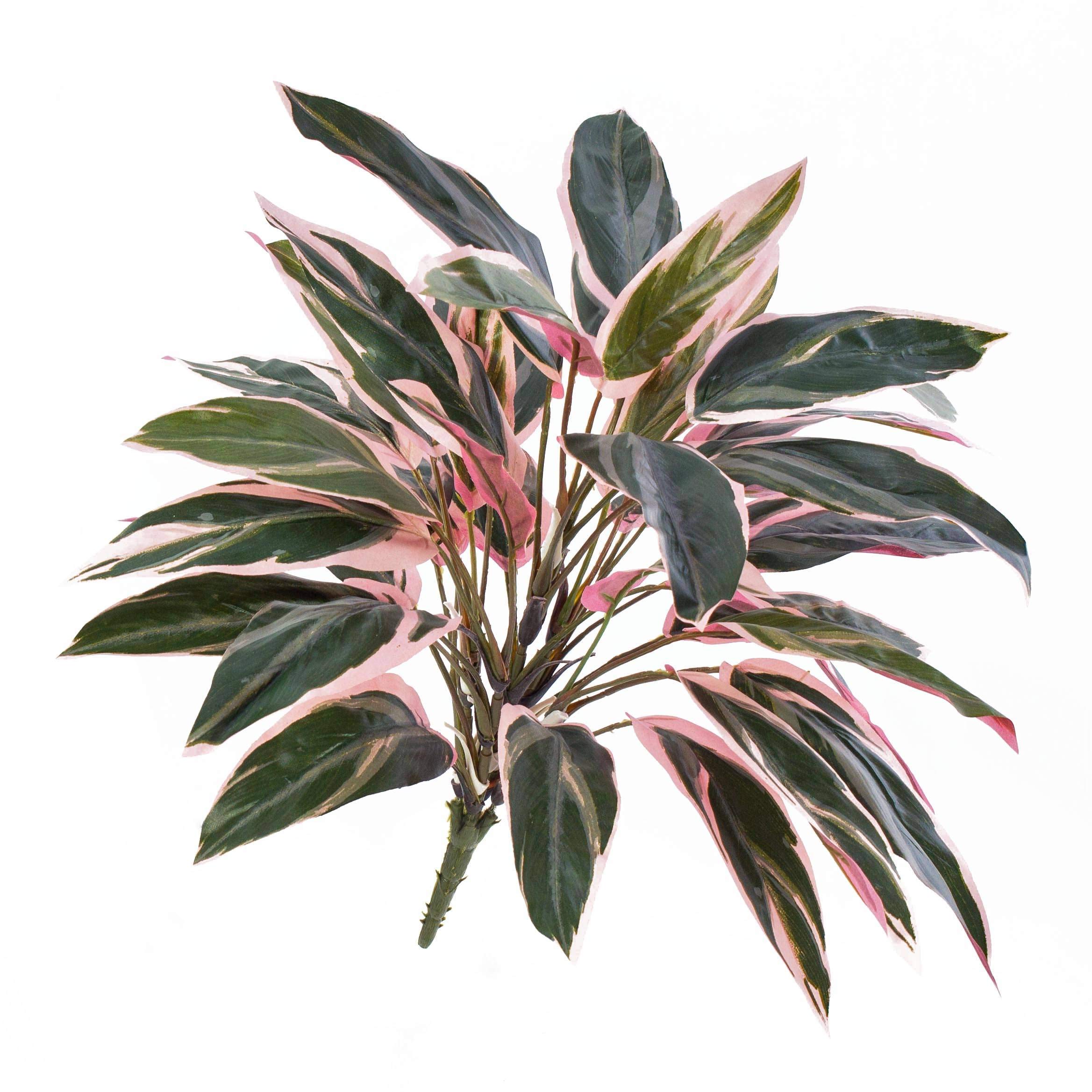 artplants.de Deko Cordyline Fruticosa Thais, 36 Blätter, grün-rosa, 50cm - Künstliche Pflanze - Künstlischer Busch