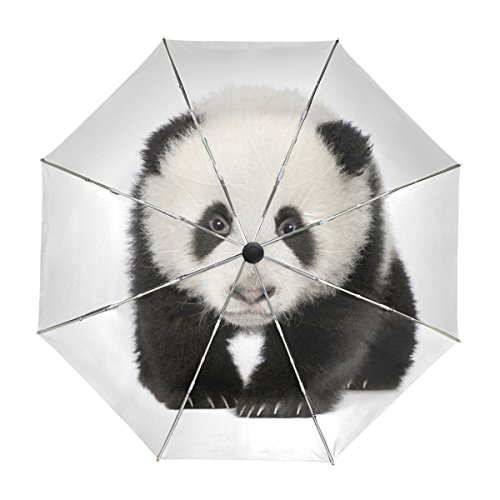 My Daily Liebenswürdig, Panda Reise Auto öffnen/schließen Regenschirm mit Anti-UV-Winddicht leicht