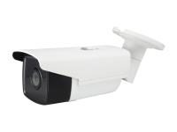 LevelOne fcs-5092 IP Security Camera Innen und Außen Ball Weiß - -Überwachungskamera (IP Security Camera, innen und außen, Ball, Weiß, Decken/Wandtattoo, IP67)