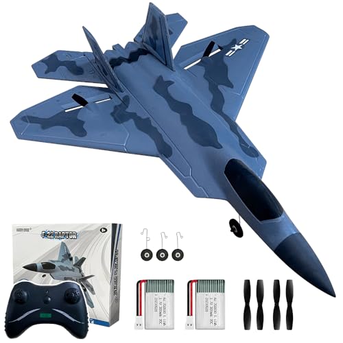 HAWK'S WORK 2 Channel RC Airplane, F-22 RC Plane Ready to Fly, 2.4GHz Remote Control Airplane, Easy to Fly RC Glider for Kids & Beginners