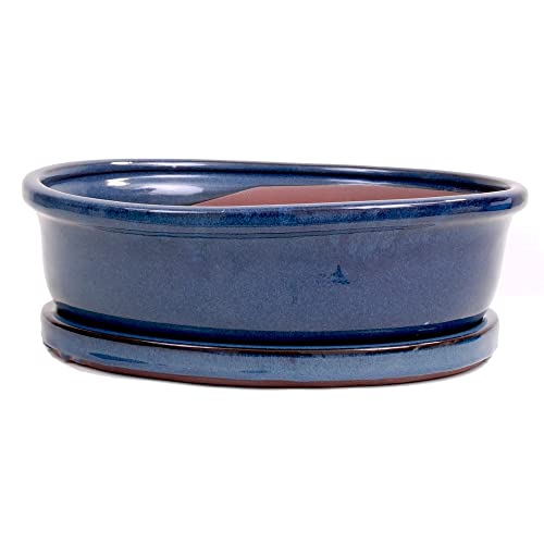 Bonsai - Schale oval 31 x 25 x 10 cm, blau, mit Untersetzer 41911
