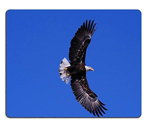 (Maus - Pads) - Mousepad Gaming Mouse Pad Erwachsenen Adler in PTENWELL Wisconsin Star - Kang - Star PN00 X1834 DAMM