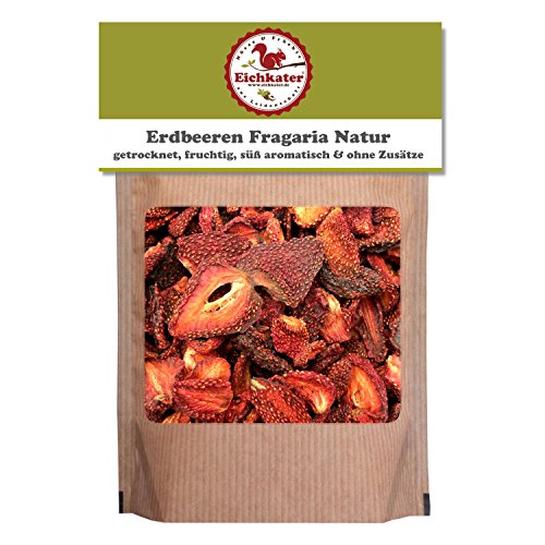 Eichkater getrocknete Erdbeeren Fragaria Natur ohne Zusätze 2er-Pack (2x250 g)