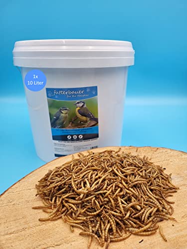 10 Liter Futterbauer Mehlwürmer im praktischen Eimer