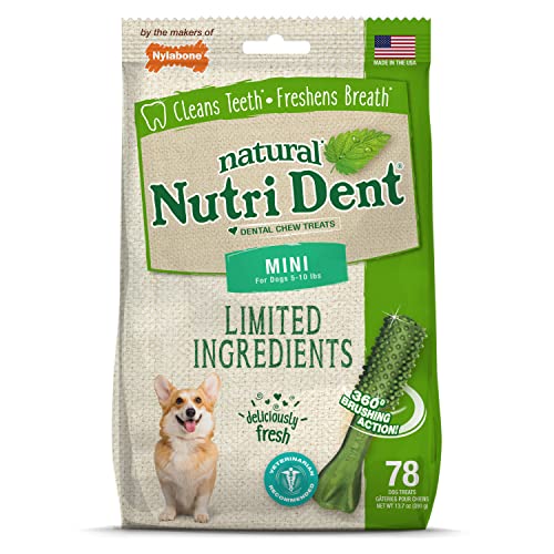Nutri Dent Limited Zutat Dental Dog Chews - Mini Size - Filet Mignon oder Fresh Breath Aromen, 78 Ct, Frischer Atem