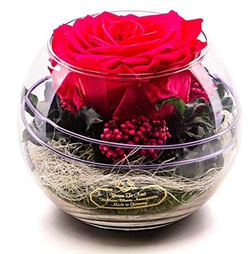 Rosen-Te-Amo 1 haltbare Premium Rose in hochwertige Vase mit echten Bindegrün; Konservierte Rose im Glas: ideal als Weihnachten-Geschenk 3 Jahre haltbar ohne Wasser