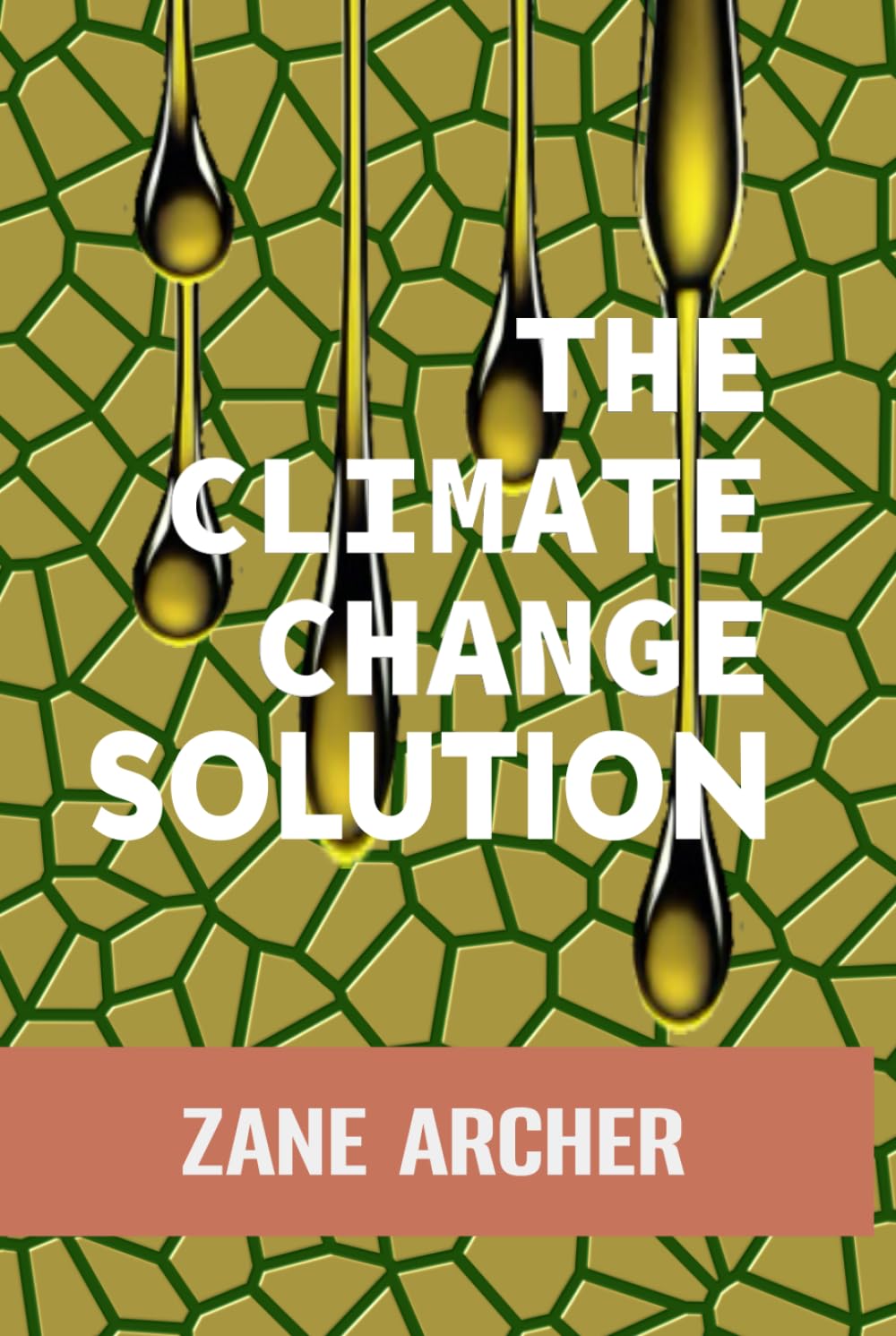 The Climate Change Solution