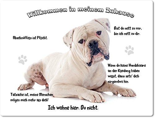 Merchandise for Fans Blechschild/Warnschild/Türschild - Aluminium - 30x40cm - - Willkommen in Meinem Zuhause - Motiv: American Bulldog - 04