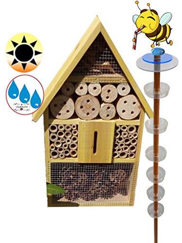 XXL Bienenhaus Bienenhotel + Gartendeko-Stecker Nistkasten als funktionale Bienentränke + 1x Lotus BIENENHAUS Insektenhaus,XXL Bienenstock & Bienenfutterstation für Wildbienen, Schmetterlinge