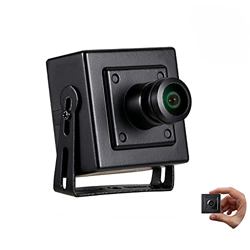 Revotech Mini Fisheye Sicherheits IP Kamera, HD 3MP Innenkamera ONVIF 1,44mm Objektiv 180 Grad Weitwinkel P2P CCTV Videokamera mit Fernansicht H.265 (I706-4 Schwarz)