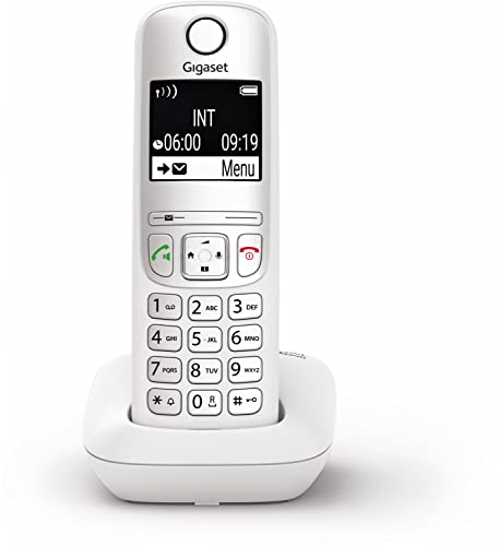 AE690 Analoges/DECT-Telefon (Weiß)