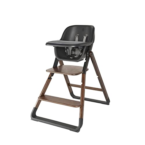 Ergobaby Evolve High Chair 2-in-1 Set, Ergonomischer Hochstuhl für Babys Mitwachsend ab 6 Monate, Babyhochstuhl inkl. 5-Punkt-Gurt, Kinderhochstuhl mit verstellbarem Sitz, Dark Wood