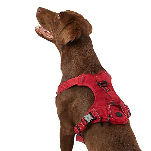 KONG Ultra Durable Waste Bag Harness (Small, Red)