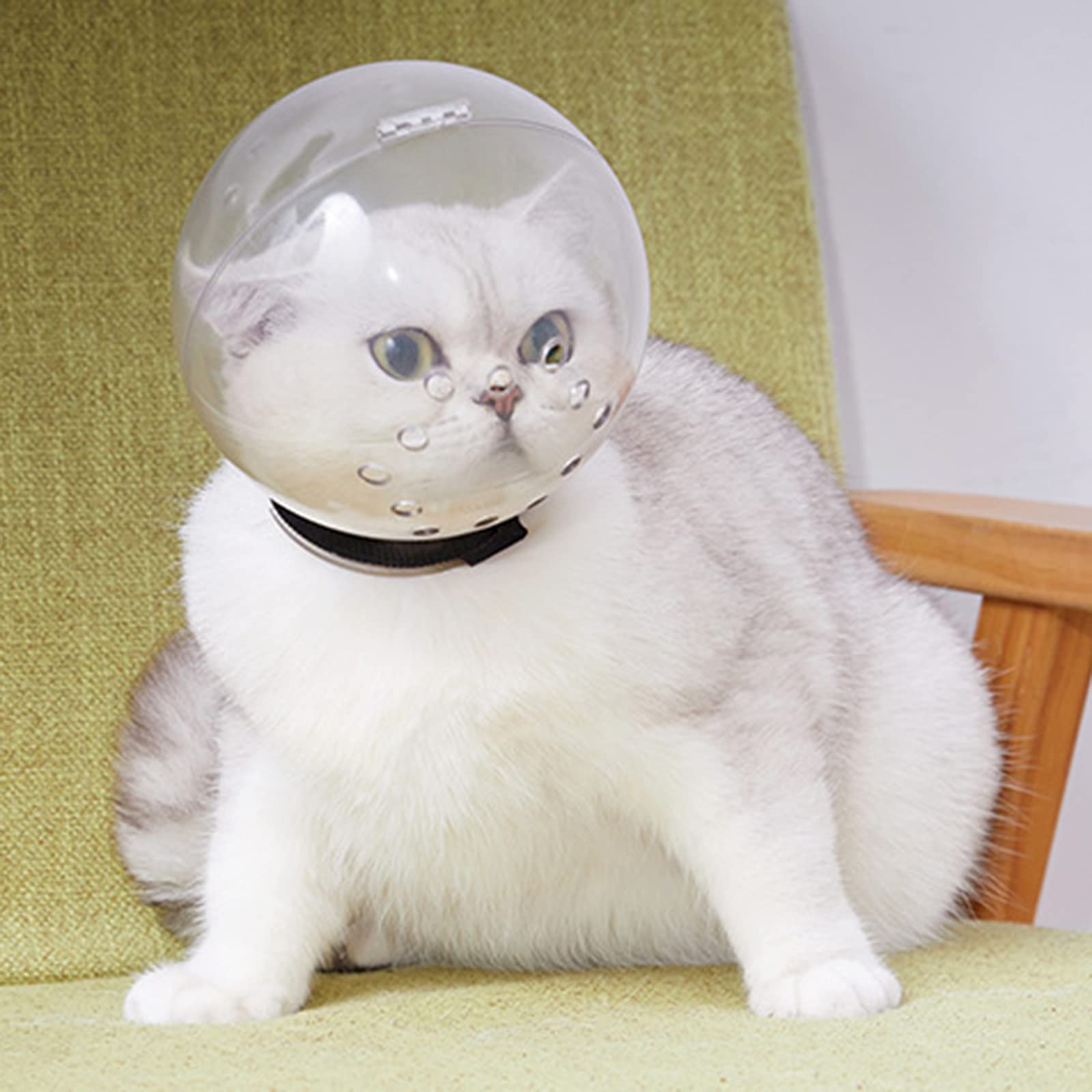 QLINDGK Kätzchen-Weltraumhaube, atmungsaktive Katzenmaulkorb, Anti-Beiß-Fellpflege-Maske, Anti-Leck-Schutzhaube, Anti-Beiß-Maulkörbe verhindern, dass Katzen beißen und kauen, Größe M, transparent