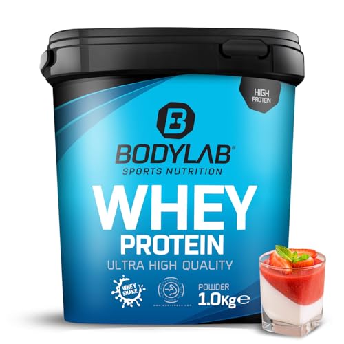 Bodylab24 Whey Protein Pulver, Pannacotta, 1kg