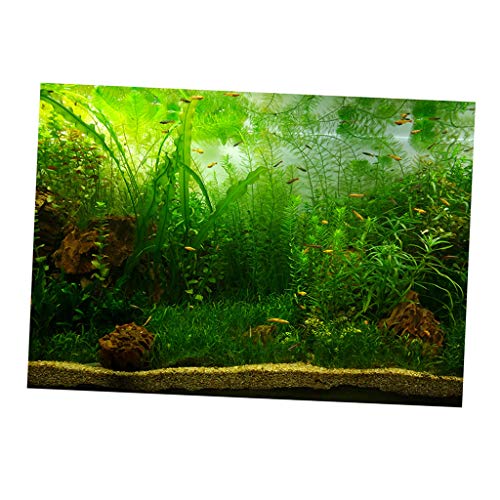 non-brand Baoblaze Aquarium Hintergrund selbstklebend Fotorückwand, Wasserpflanzen, 122x61cm