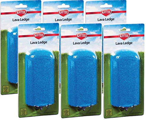 Kaytee (6 Pack) Lava Ledge Play and Nibble Landing Perch for Small Animals