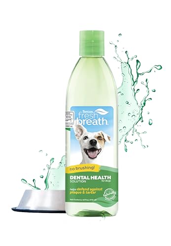 TropiClean Fresh Breath für Hunde - Mundpflege-Wasserzusatz für Hunde, Haustiere, Katzen I Bürstenlos I Bekämpft Plaque & Zahnstein - 473 ml