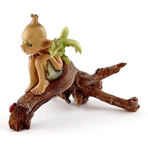 Top Collection Miniatur Garten Pixie mit Baby Drache auf AST
