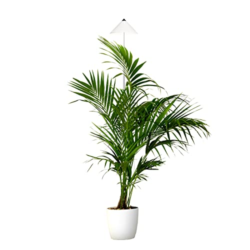 Parus by Venso SUNLiTE LED Pflanzenlampe XL 25W Weiß, Wachstumslampe mit Teleskopstab, Growth Light für Zimmerpflanzen und Grünpflanzen